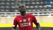 Champions Liverpool GIF by MolaTV