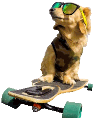 dog skate Sticker by Arata