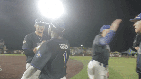 Mcneese Baseball GIF by McNeese Athletics