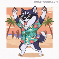 Happy Hands Up GIF by Doge Pound
