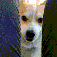 attention GIF