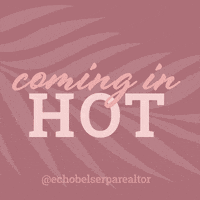 echobelser hot real estate realtor fresh GIF