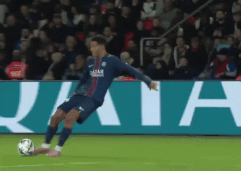 Paris Saint-Germain Psg GIF