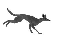 Dog Running Sticker by vres