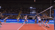 Happy Sport GIF by Volleyball World