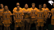 d3lax GIF by CUCougars