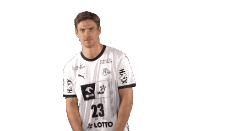 Handball-Bundesliga Handball Sticker by LIQUI MOLY HBL