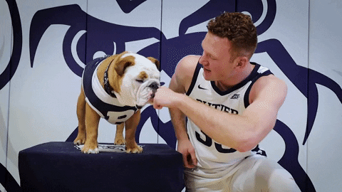 Butler Bulldogs Dog GIF by Butler University