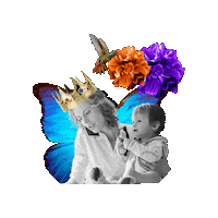 Butterfly Collage Sticker by Orit