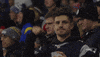 Nfl Fan GIF by New England Patriots