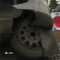 Trying Hard Never Give Up GIF by FIA World Rally Championship