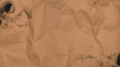 Tash_Hill giphyupload GIF