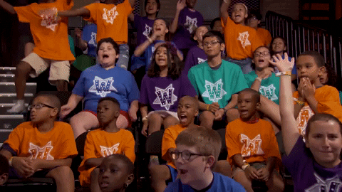 GIF by Wonderama