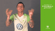 ball bundesliga GIF by VfL Wolfsburg