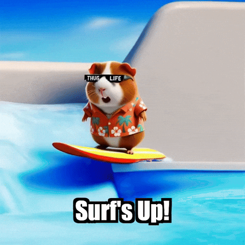 Guinea Pig Surfing GIF by Guinea Gambino