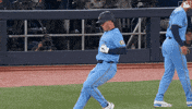 Blue Jays Baseball GIF by Toronto Blue Jays