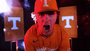 Baseball Hype GIF by NCAA Championships