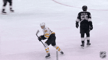Happy Boston Bruins GIF by NHL