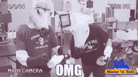 oh my gosh omg GIF by Mane 'n Tail