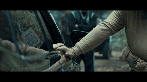 New Zealand Kiwi GIF by End Of The Valley