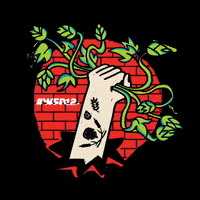 WarszawskiFestiwalPiwa wfp12 GIF