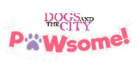 dogsandthecityph cat dog cats dogs Sticker