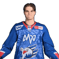 Max Heim Sticker by Adler Mannheim