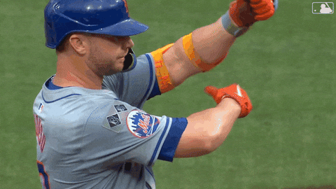 Celebrate Pete Alonso GIF by New York Mets