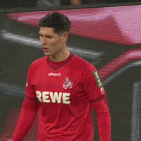 1 Fc Cologne Football GIF by 1. FC Köln