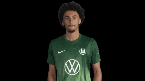 France Hello GIF by VfL Wolfsburg