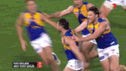 afl afl finals aussie rules australian football league GIF