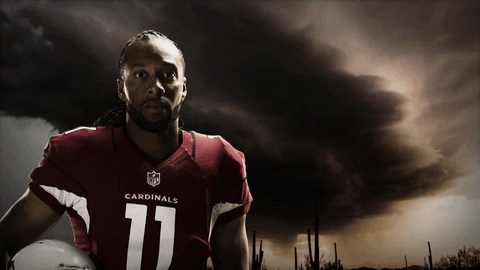 GIF by azcardinals