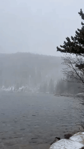 Snowflakes Fall in Rocky Mountain National Park as Wintry Weather Moves Through Region