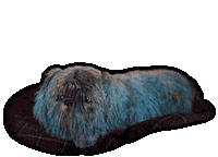 Dog Christmas Sticker by Disney Europe