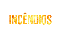 Incendio Sticker by cofco_intl