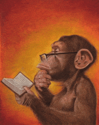 Monkey Wisdom GIF