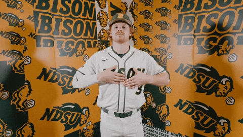 Baseball Bison GIF by NDSU Athletics