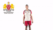 CaseySouthMelbourneCC swans csmcc caseysouthswans GIF