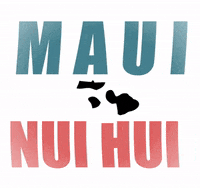 kklmaui  GIF