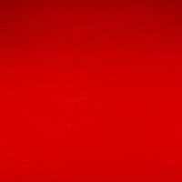 Chapman Lewis GIF by Texas Tech Football