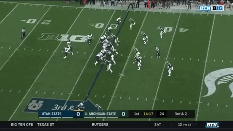 SchaufDS giphygifmaker GIF