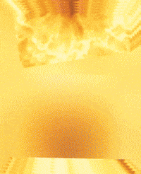 Puredopenocutz GIF by DollBabyCouture