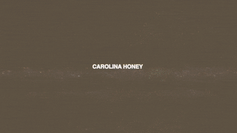 New Music Carolina GIF by Marcus King