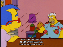 homer simpson GIF
