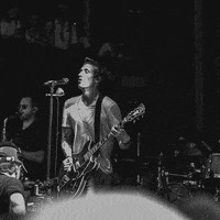 TheRevivalists festival concert live music music festival GIF