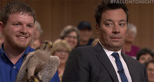 scared jimmy fallon GIF by The Tonight Show Starring Jimmy Fallon