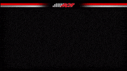 Green Flag GIF by Richard Childress Racing
