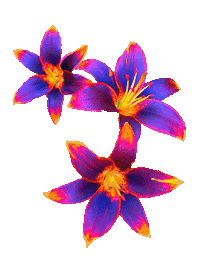 Summer Blooming Sticker by daisy maize
