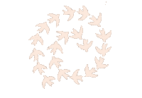 Birds Spiral Sticker