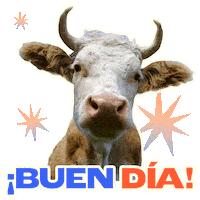 Vegan Saludo Sticker by Mercy For Animals Latinoamérica